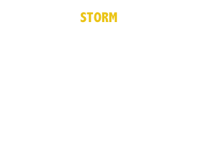 STORM 
“Free Nfld” Stubby 
T-Shirts for sale 
@ Living Planet T-Shirt 
in St. John’s

http://www.livingplanet.ca 
